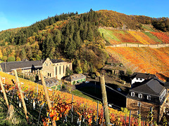 DE - Dernau - Herbst in Marienthal