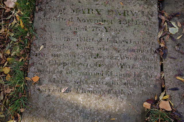 Memorial to John and Mary Darwin of Chapeltown and Elsecar  Ironworks