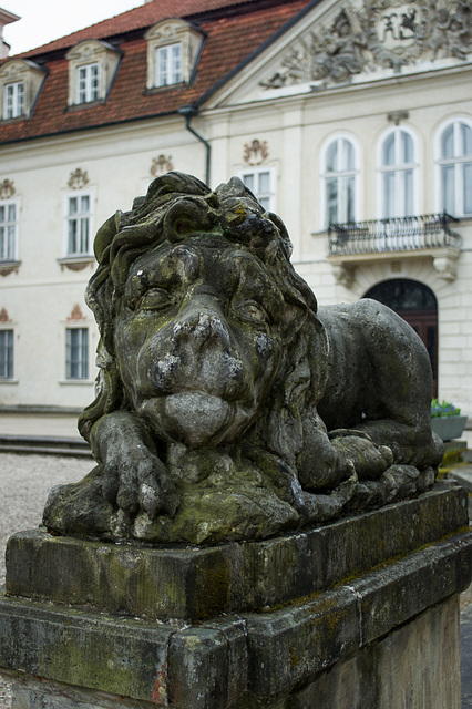 April 17: Lion