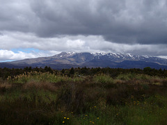 Mt. Ngauruhoe, NP Tongariro