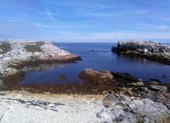 A blue rocky shoreline / Un rivage bleu rocheux