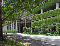 Urban Jungle Singapore