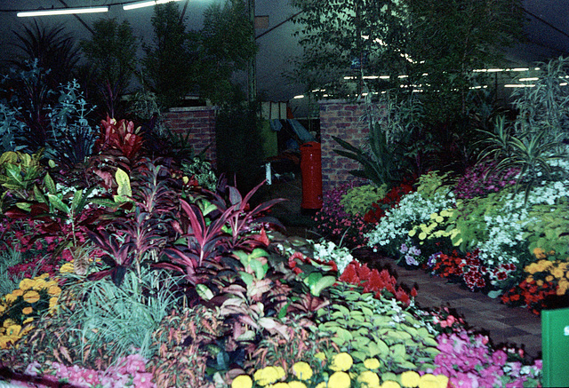 Birmingham Flower Show (Scan from 1970s)