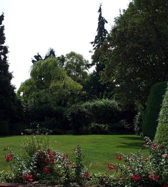 Fulbourn garden 2014-08-10