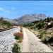 Disused railway, Sierra de La Cabrera