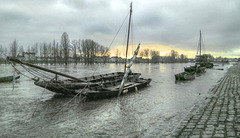 La Loire en hiver