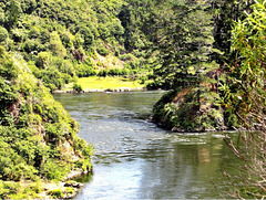 #25 - Eunice Perkins - Waikato River - 37̊ 0points