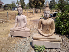 Yoga de campagne (Laos)