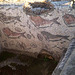 Roman tiles of the frigidarium's pool.