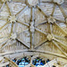 gloucester cathedral (43)