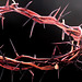 Crown of Thorns...