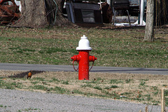 Super Paragon Fire Hydrant