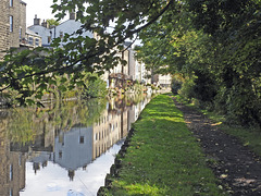 Canalside reflection