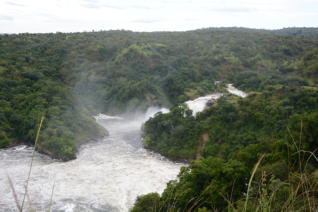 Uganda, Murchison Waterfall, Middle Step