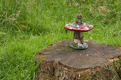 Toadstool house in the park
