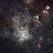 Close up of Tarantula Nebula NGC2070