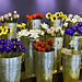 Glass Flowers – Corning Museum of Glass, Corning, New York