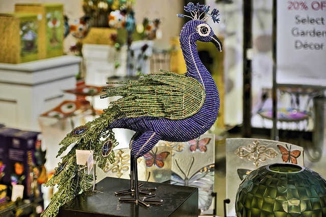 Peacock – Corning Museum of Glass, Corning, New York