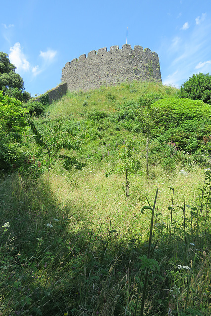 trematon castle (5)
