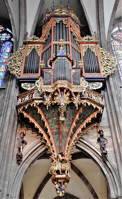 The Strasbourg Cathedral  1xPiP