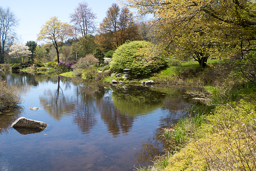 Ipernity Asticou Azalea Garden By Scribegirl