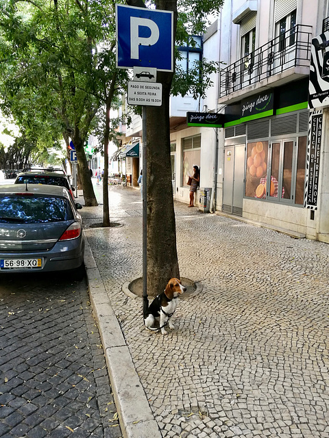 Lisbon 2018 – Parking