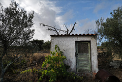 Penedos, the shed