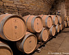 Before the Glass, the Casks!!  Savignola Paolina Winery, Greve in Chianti Tuscany