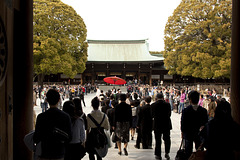 Meiji Jingu 02 - view to the shrine