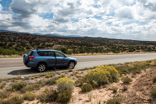 Our vehicle and New Mexico desert