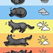 O&S(meme) - cat & weather