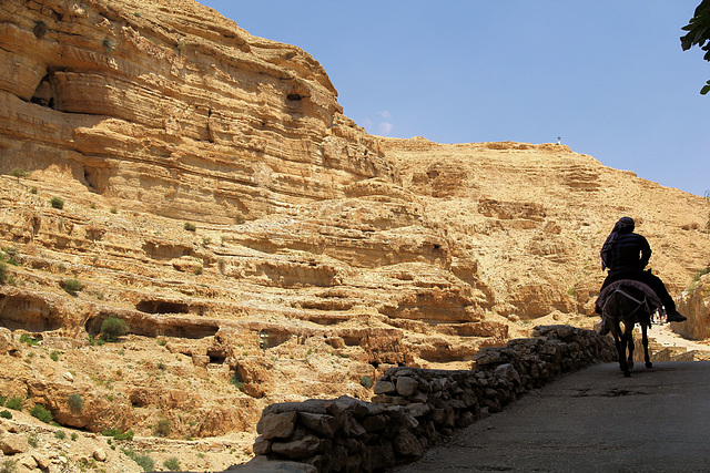 Unterwegs im Wadi Qelt