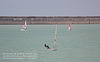 Club sailing in the Newhaven approaches 1 8 2021