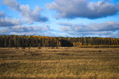 Landschaft bei Jūrmala