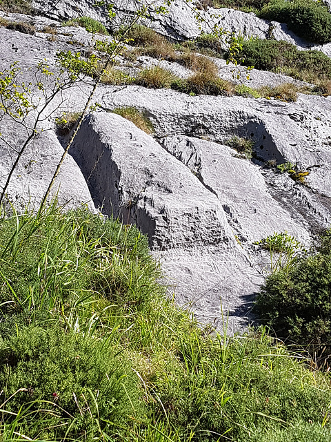 Sarcophages en calcaire du Ve siècle.