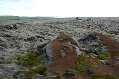 Iceland, Lichen Fields of Mýrdalssandur