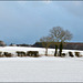 First snow of the winter, East Ayton, North Yorkshire