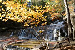 Autumn cascades