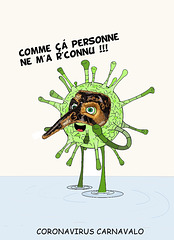 coronavirus.