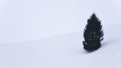 Minimalistische Winterlandschaft