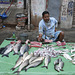 Fish market-3