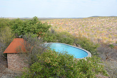 Namibia, Pool in Etosha Safari Lodge Gondwana