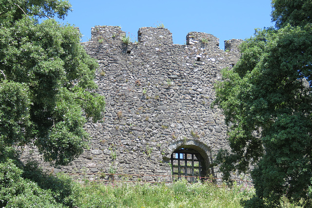 trematon castle (33)