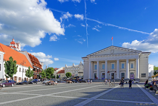 Rathaus von Vilnius (© Buelipix)