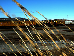 Railroad yard