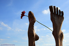 Feet & Flower