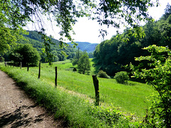 DE - Hürtgenwald - On the Kalltal trail
