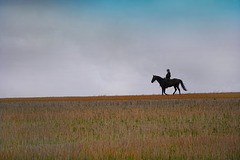 Einsamer Reiter auf weiter Flur - Lonely rider on wide open fields