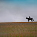 Einsamer Reiter auf weiter Flur - Lonely rider on wide open fields