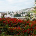 El Albaicín desde la Alhambra